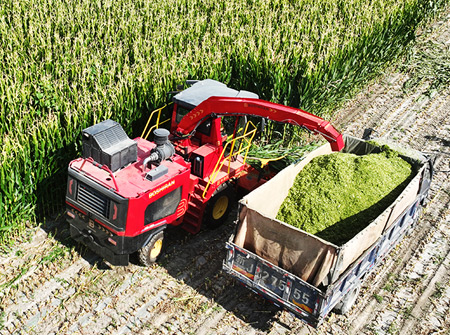 9001诚信金沙4QZ-3500青贮收获机