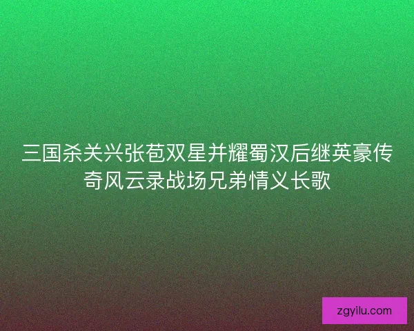 三国杀关兴张苞双星并耀蜀汉后继英豪传奇风云录战场兄弟情义长歌