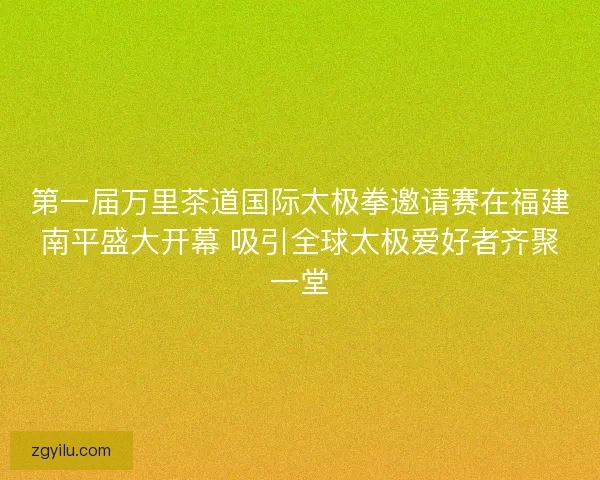 第一届万里茶道国际太极拳邀请赛在福建南平盛大开幕 吸引全球太极爱好者齐聚一堂