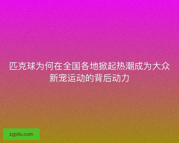 匹克球为何在全国各地掀起热潮成为大众新宠运动的背后动力