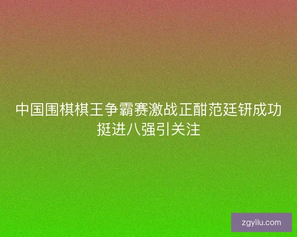 中国围棋棋王争霸赛激战正酣范廷钘成功挺进八强引关注 中国围棋棋王争霸赛激战正酣范廷钘成功挺进八强引关注