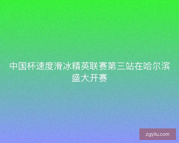 中国杯速度滑冰精英联赛第三站在哈尔滨盛大开赛