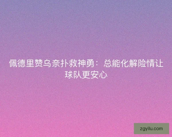 佩德里赞乌奈扑救神勇：总能化解险情让球队更安心
